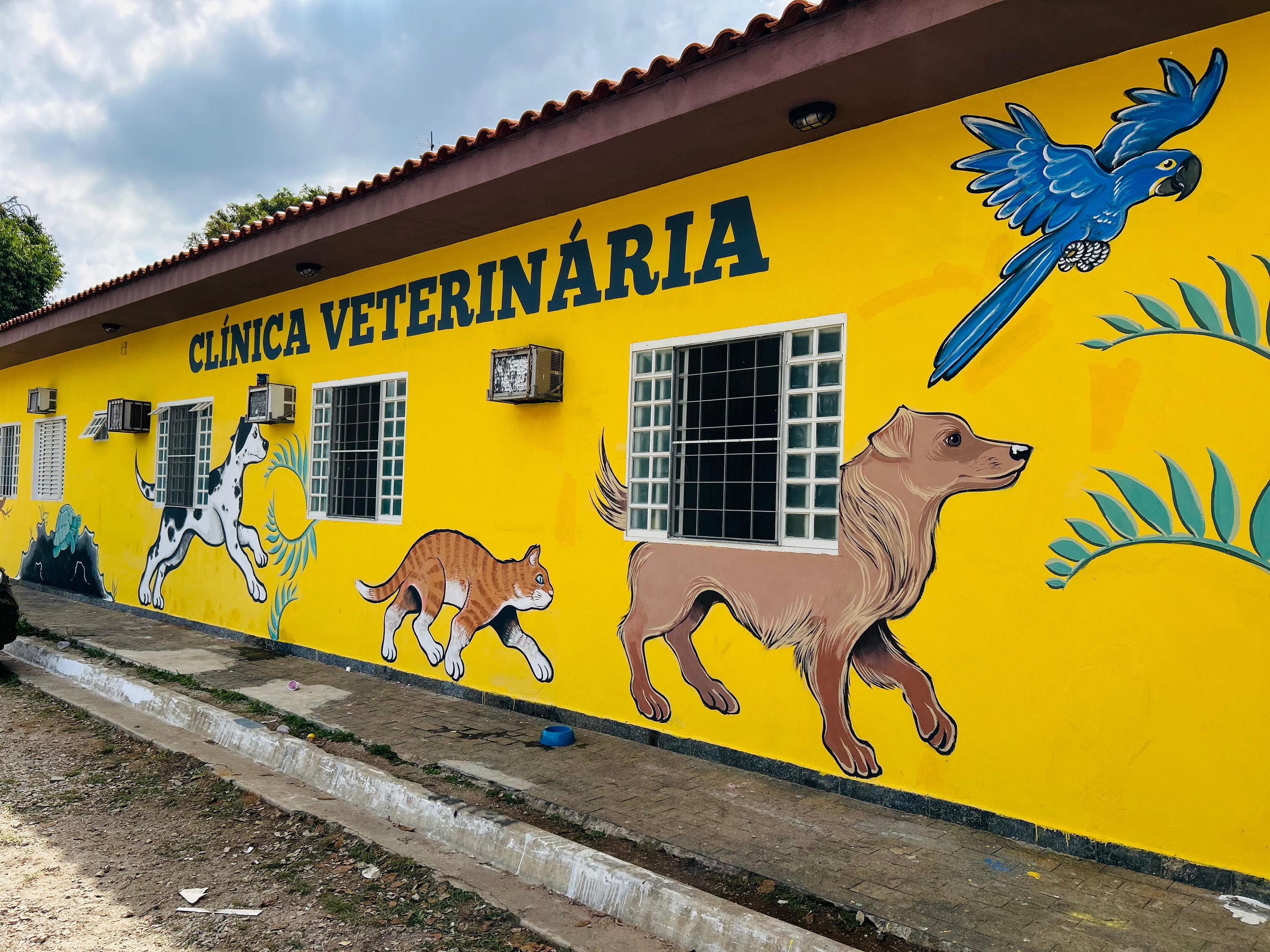 Equipamentos modernos da clínica Duovet