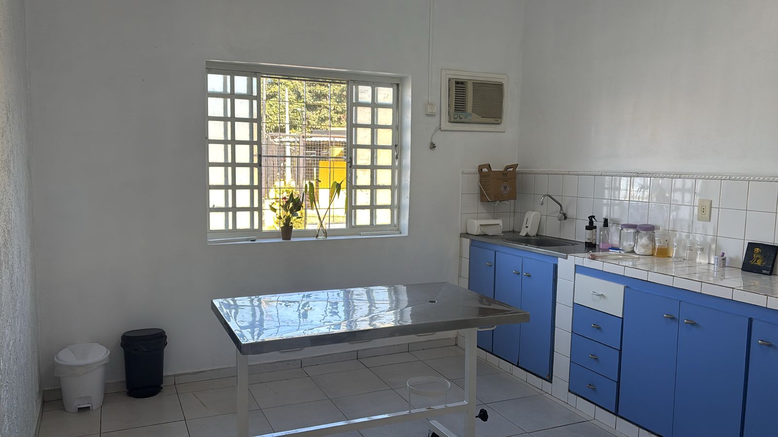 Sala de consulta e internação da Duovet